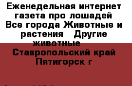 Еженедельная интернет - газета про лошадей - Все города Животные и растения » Другие животные   . Ставропольский край,Пятигорск г.